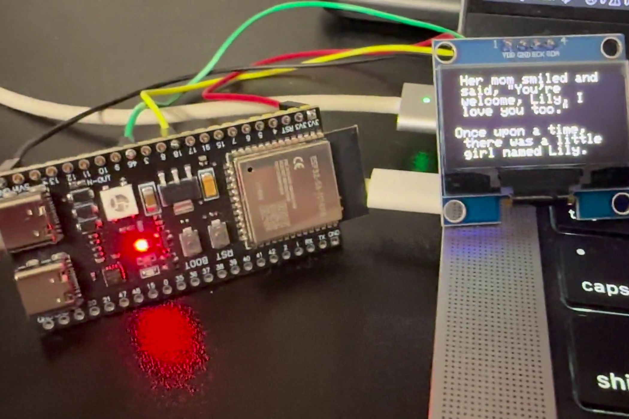 28.9M LLM runs on ESP32-S3