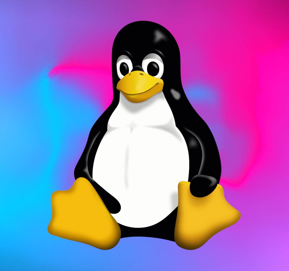 Netherlands Ditches Microsoft Windows For Linux On Government PCs