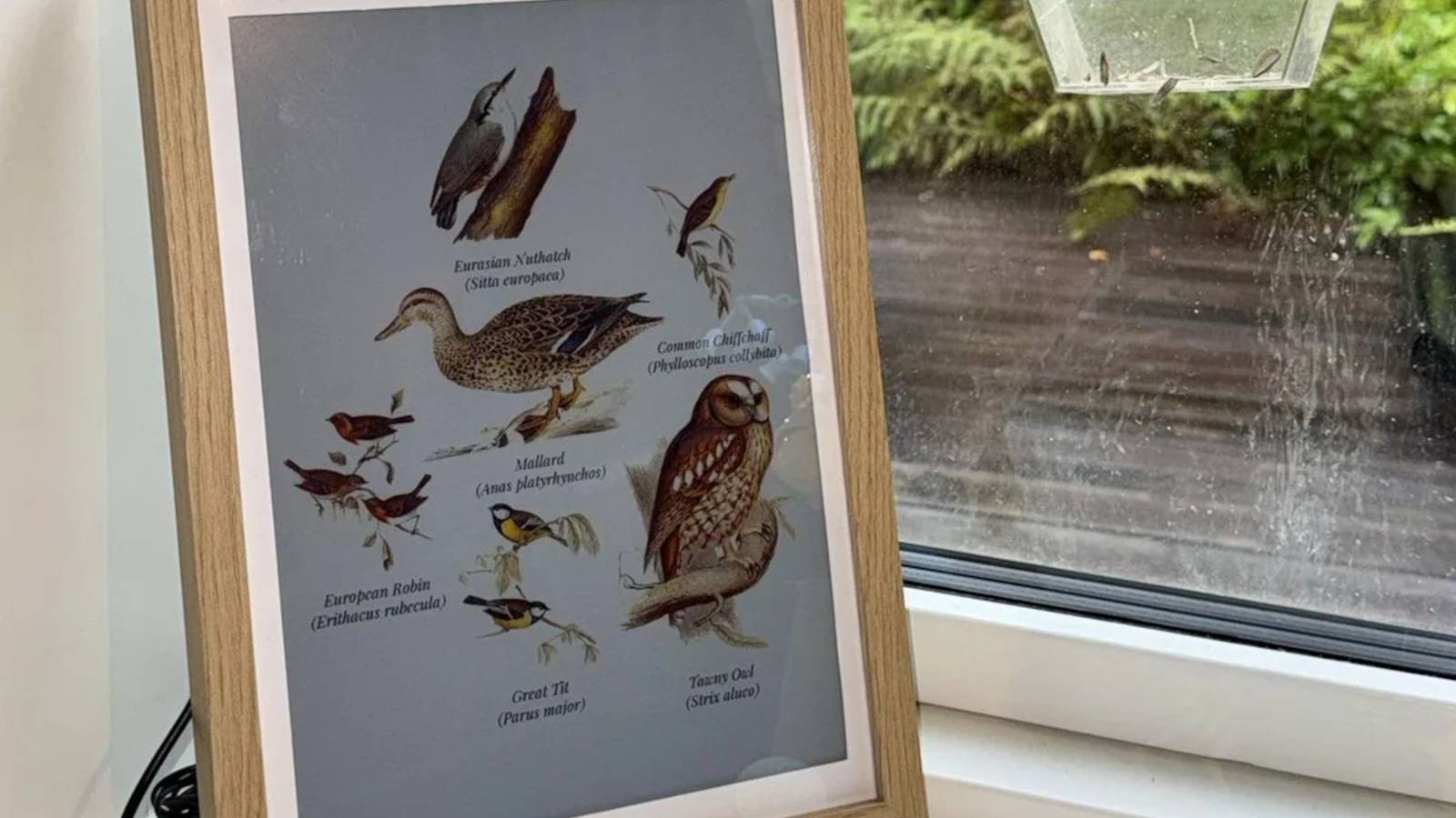 This Raspberry Pi 5 e-ink project listens to your garden and draws the ...