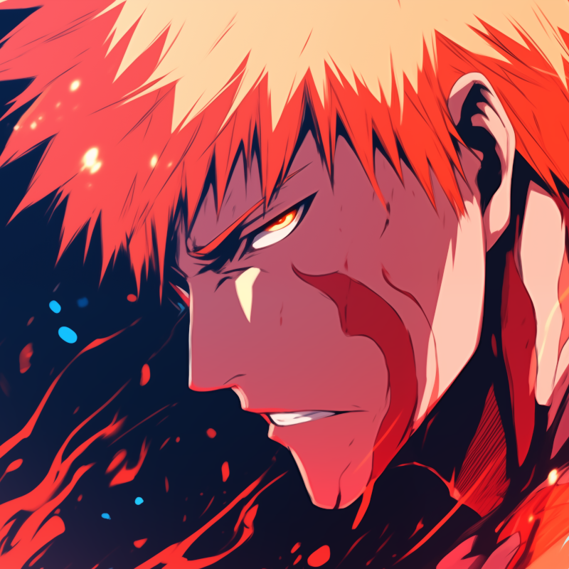 User Display Picture