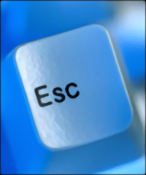 User Display Picture