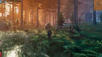 Exploring the wilderness in Valheim