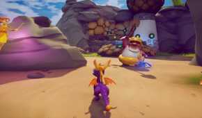 Spyro on the beach