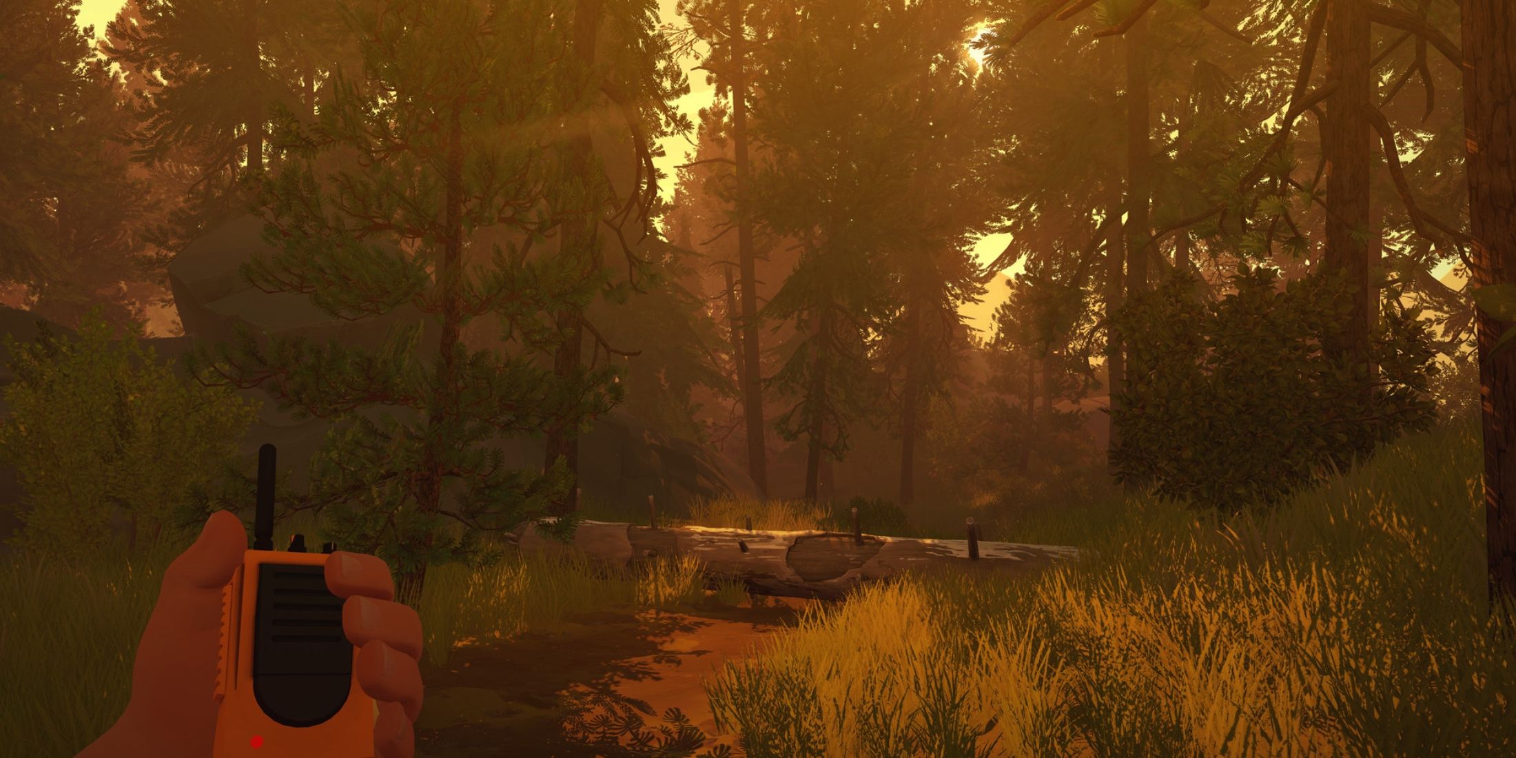 10 most immersive games that deserve an ultrawide monitor