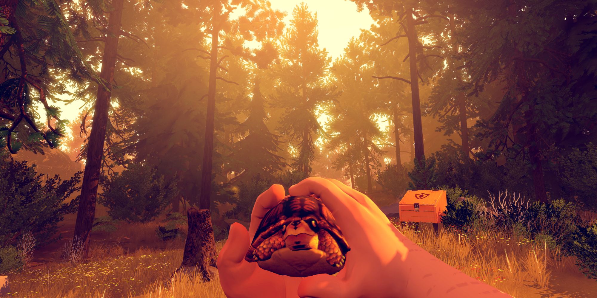 firewatch.jpg