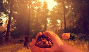 firewatch.jpg