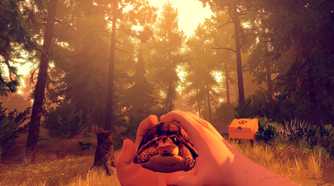 firewatch.jpg