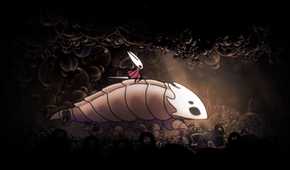 Hollow knight riding on a bug
