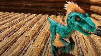 A baby blue raptor with orange accents