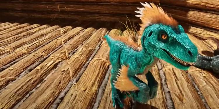 A baby blue raptor with orange accents