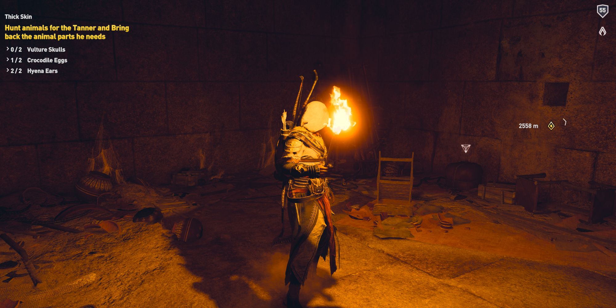 assassin's creed origins Bayek holding a torch in a tomb