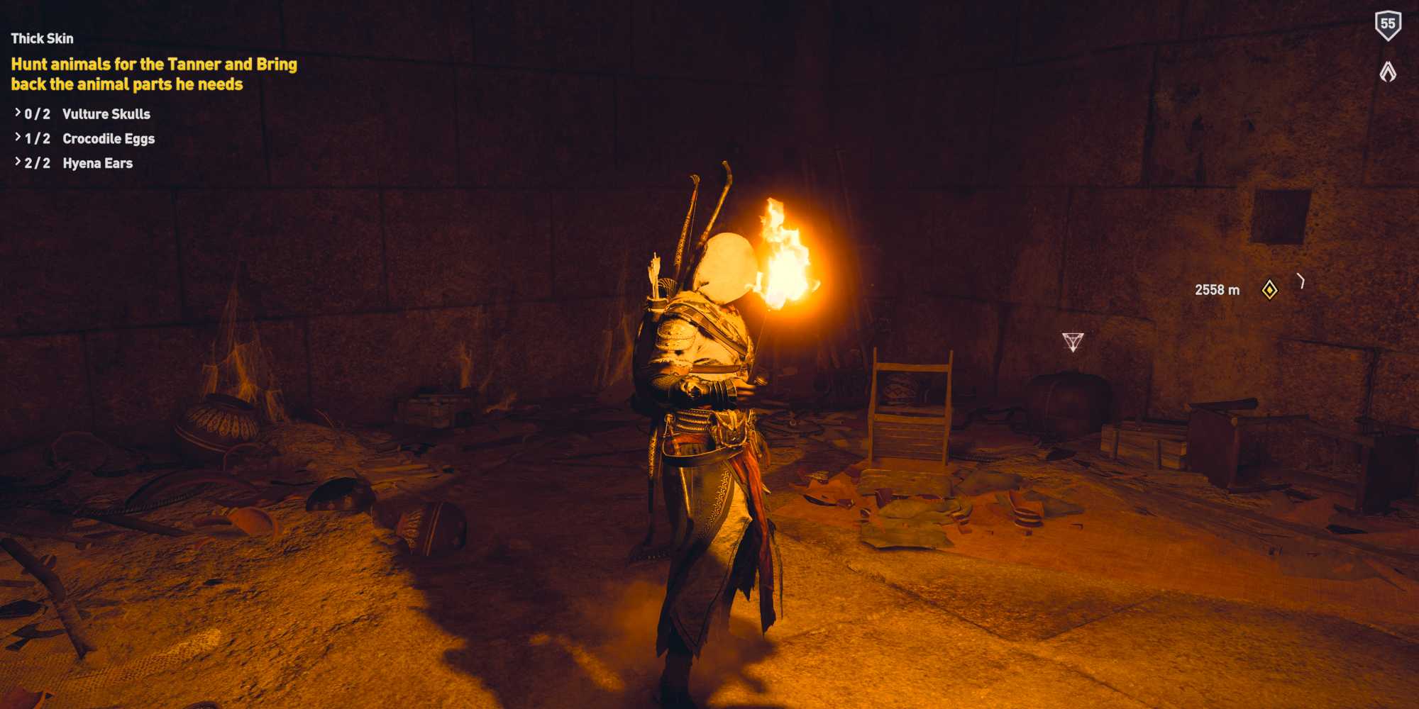 assassin's creed origins Bayek holding a torch in a tomb