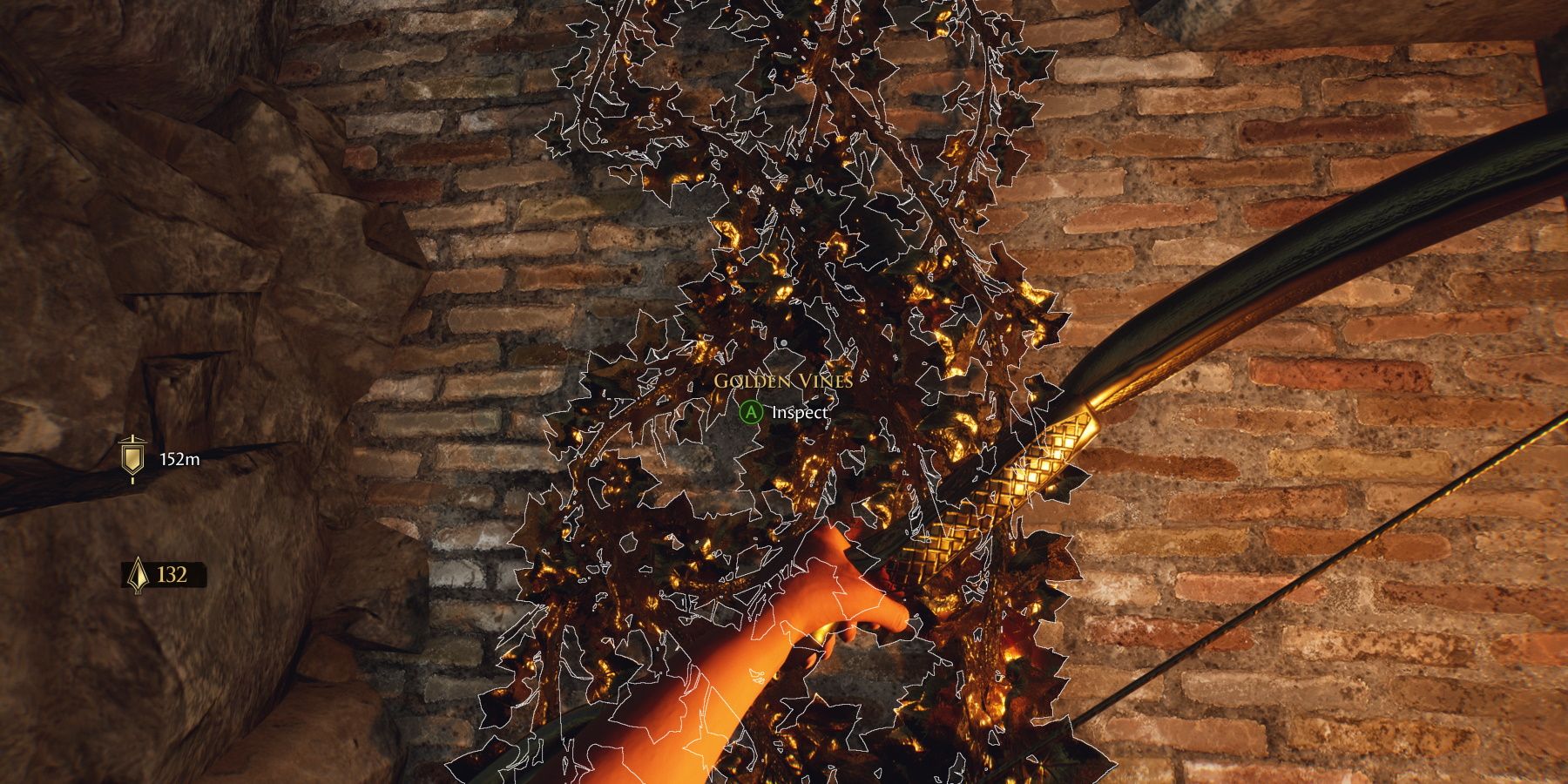how-to-climb-vines-in-the-forgotten-city.jpg