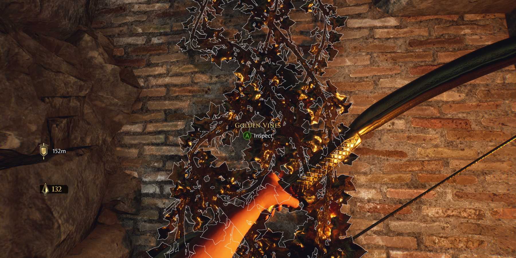 how-to-climb-vines-in-the-forgotten-city.jpg
