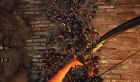 how-to-climb-vines-in-the-forgotten-city.jpg