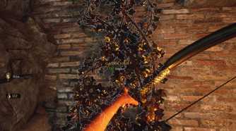 how-to-climb-vines-in-the-forgotten-city.jpg