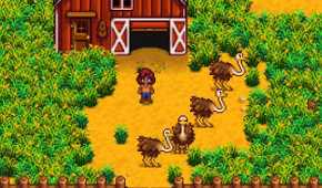 stardew-valley-ostriches-on-farm-cropped.jpg