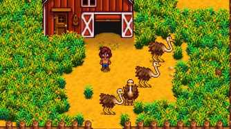 stardew-valley-ostriches-on-farm-cropped.jpg