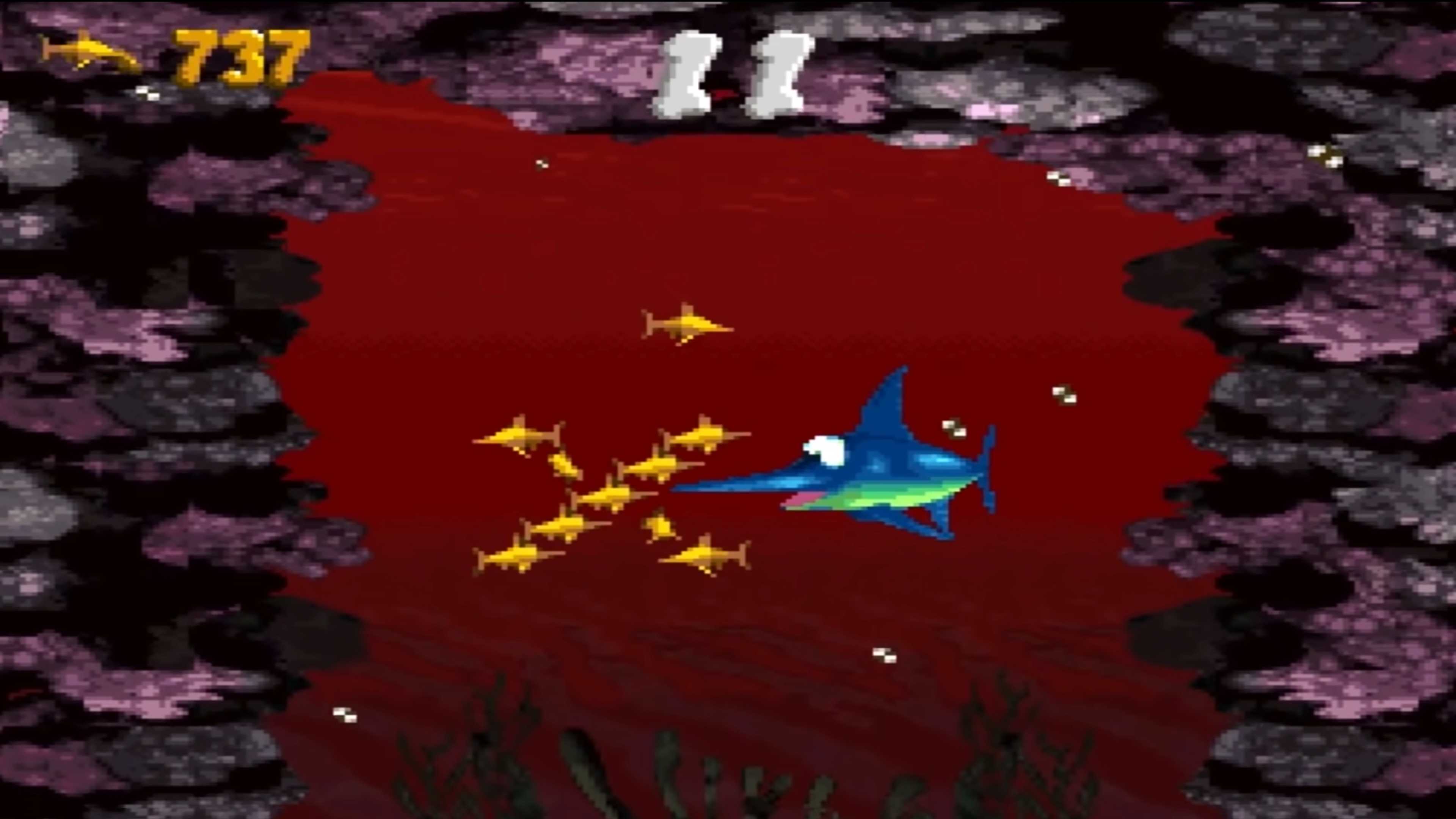 A screenshot of Donkey Kong Country