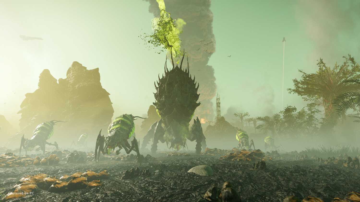 helldivers 2 bug enemies