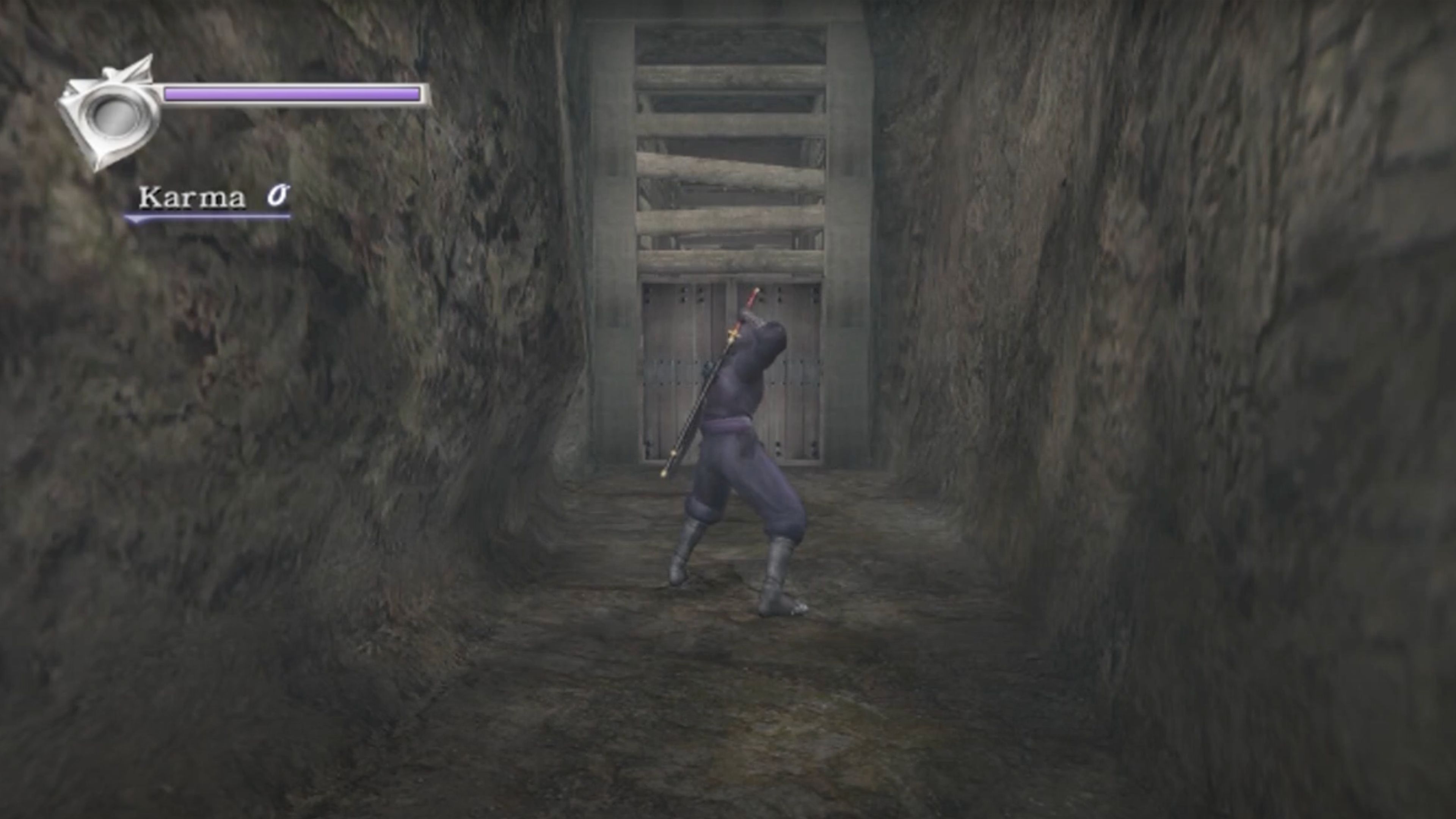 Ninja Gaiden Black Ryu in front of a wooden door