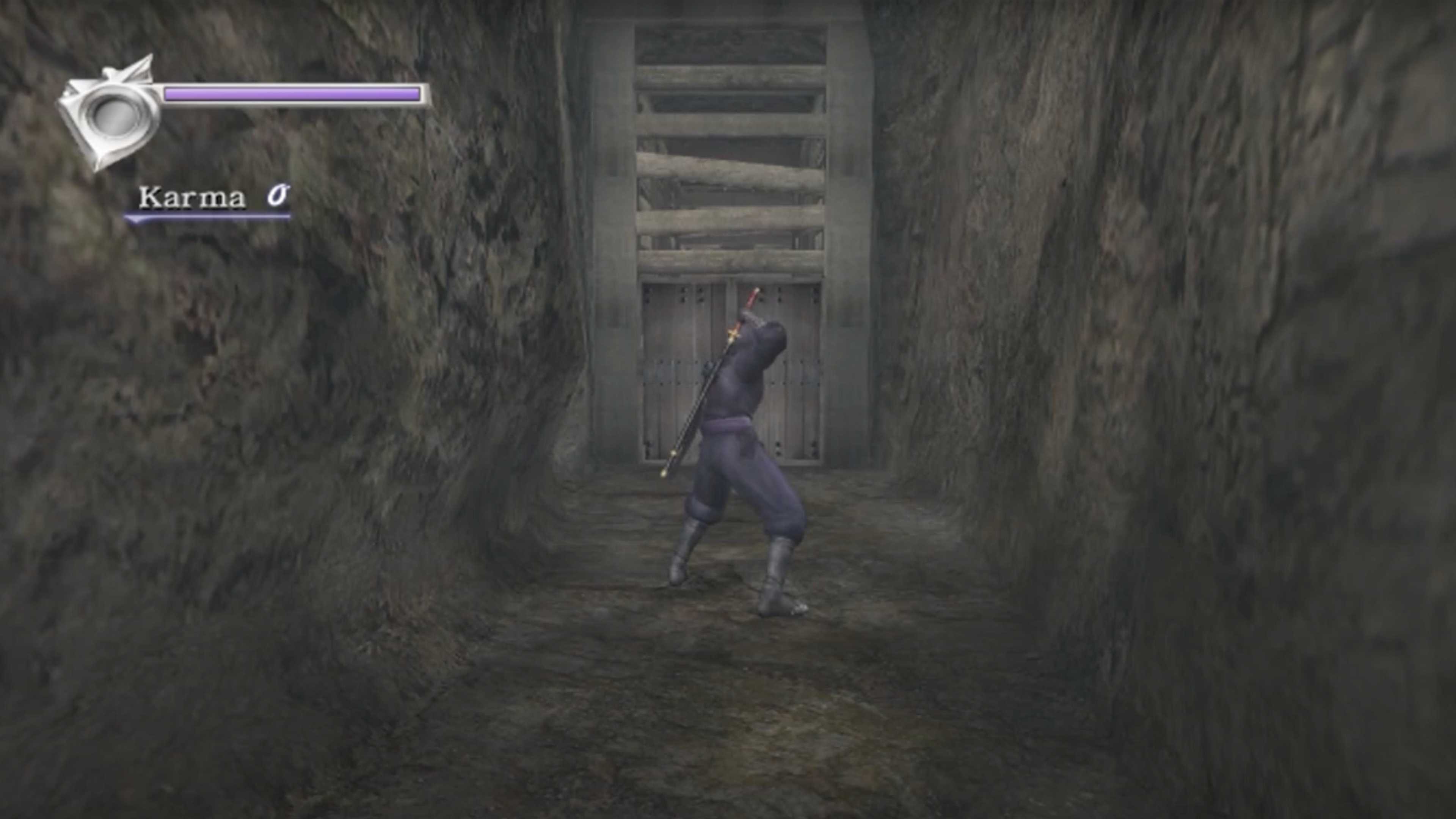 Ninja Gaiden Black Ryu in front of a wooden door