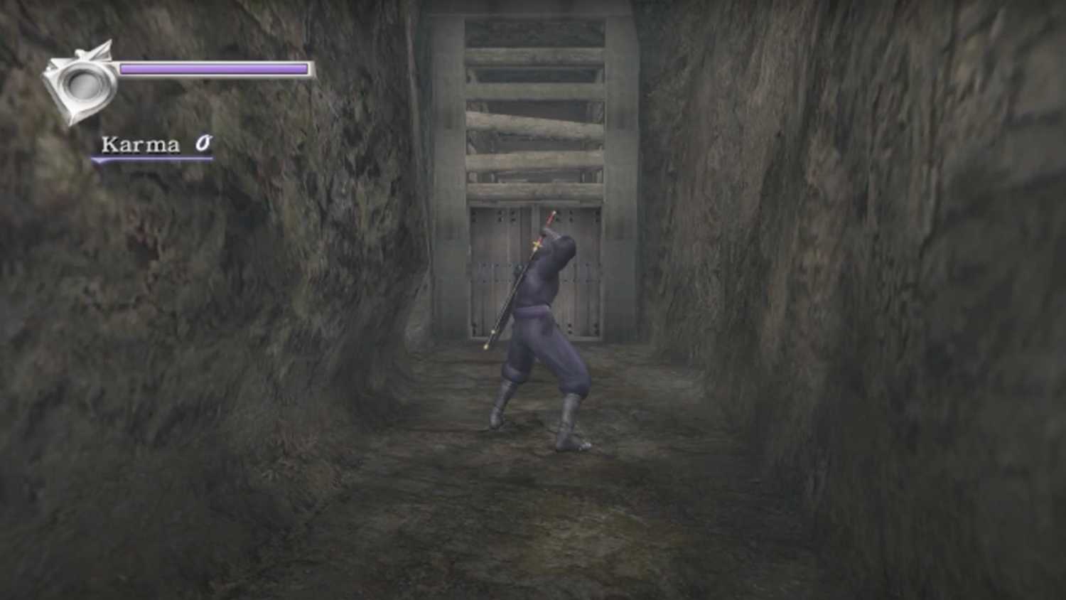 Ninja Gaiden Black Ryu in front of a wooden door