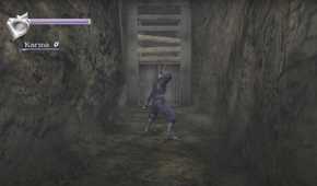 Ninja Gaiden Black Ryu in front of a wooden door