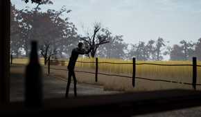 adios-press-image-6.jpg