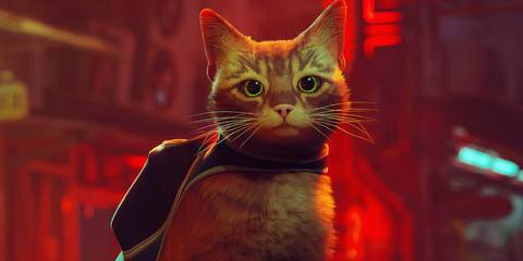 stray-ps5.jpg