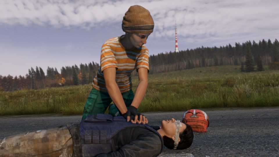 dayz-press-image-2.jpg