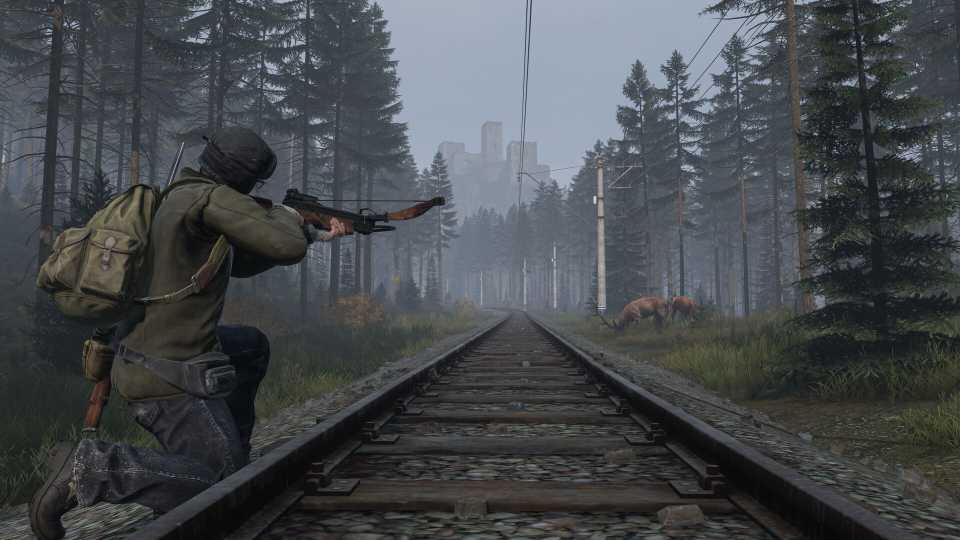 dayz-press-image-9.jpg