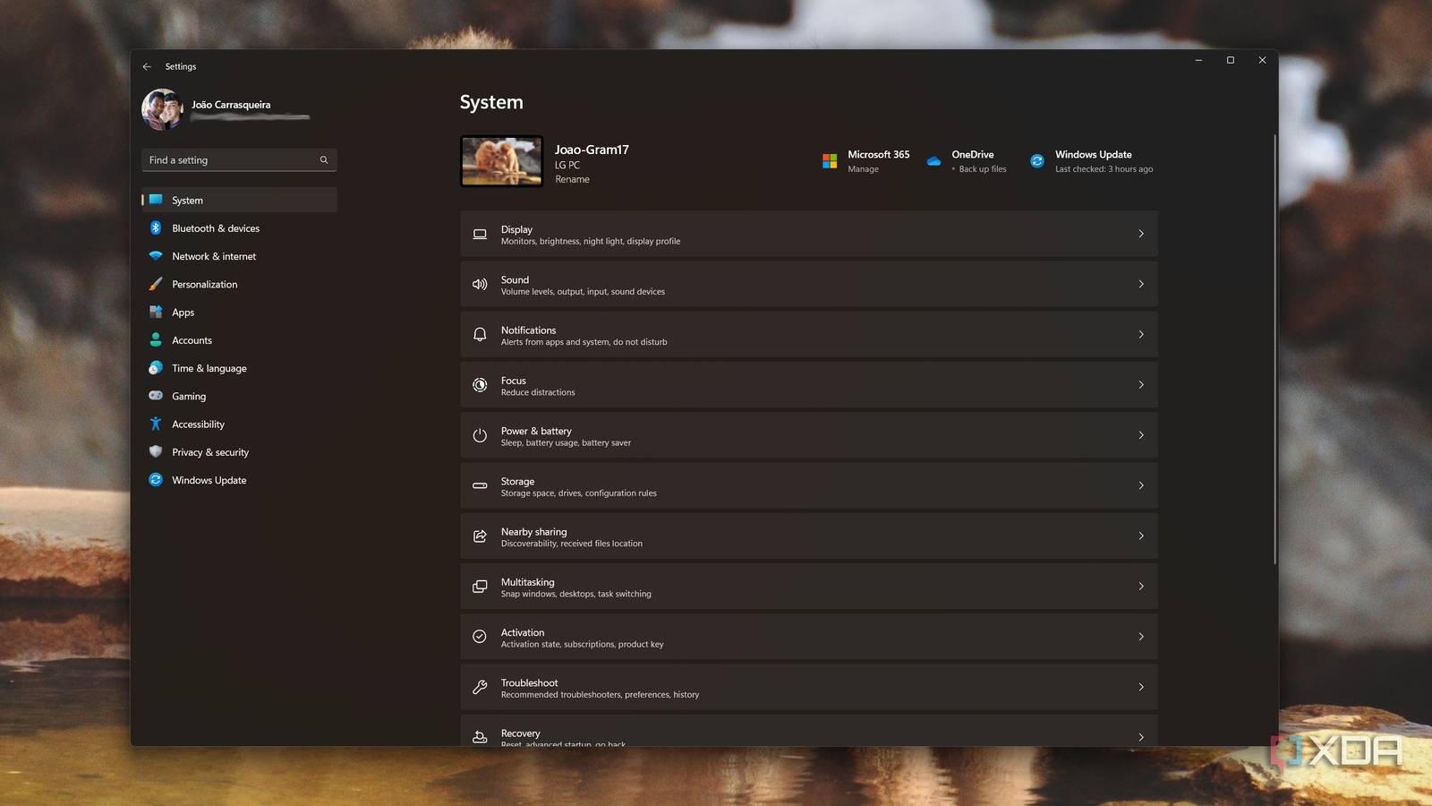 Screenshot of the Settings app in Windows 11
