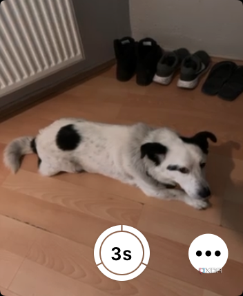 Apple Watch Camera Remote for iPhone