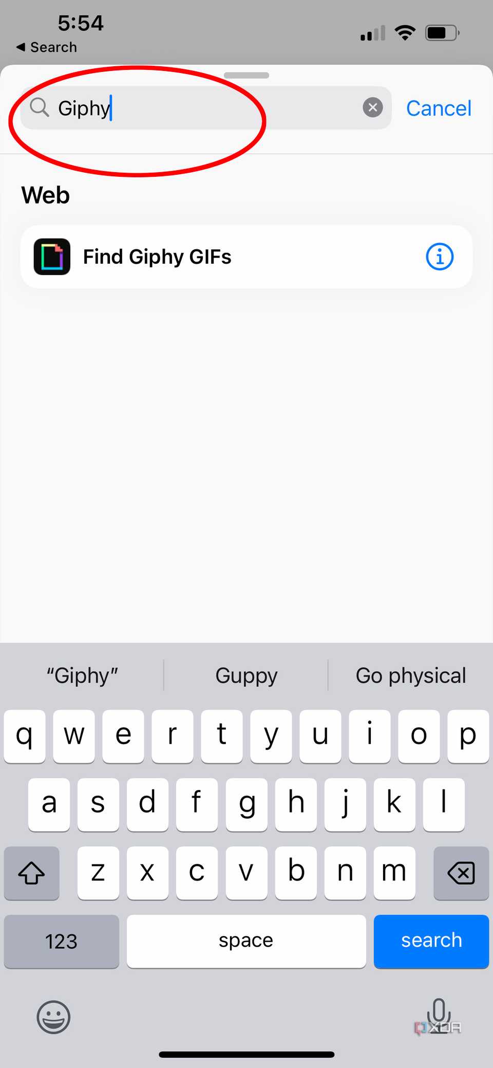 giphy typed in search bar