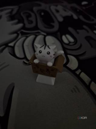 An image showing an artisan keycap of a cat in a box in dark.