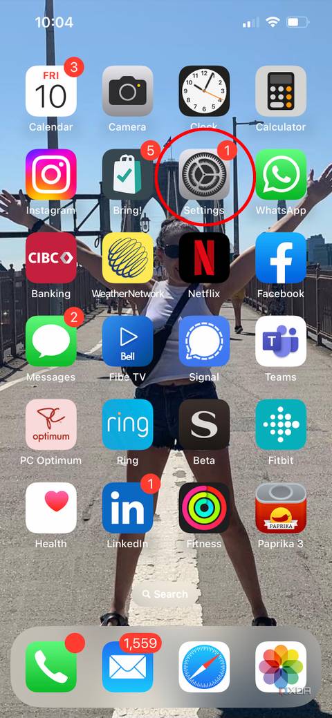 An iPhone home screen showing the Settings icon highlighted.