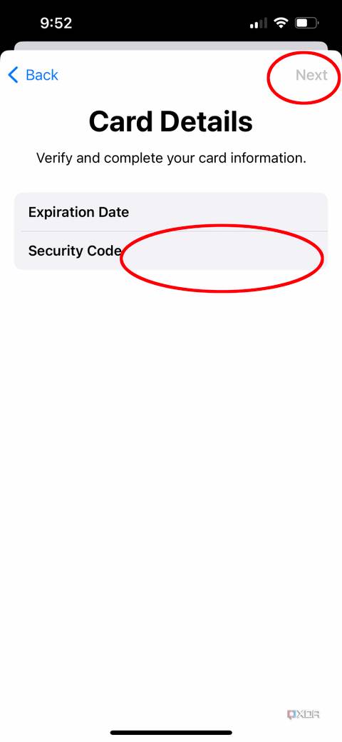 Apple Pay screen showing card details where you can enter them.