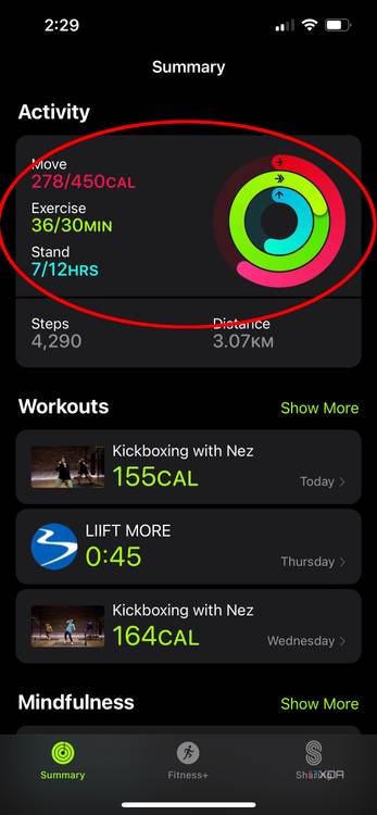 Activity Goals How To Change My Fitness Goals Iphone How To Change