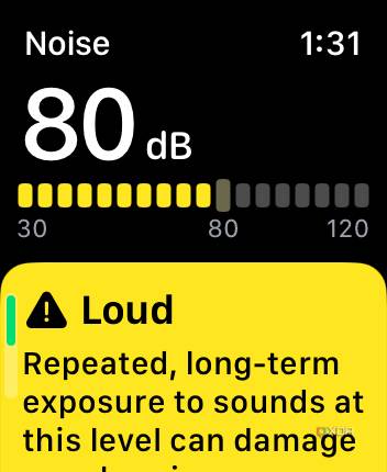 apple watch noise 11