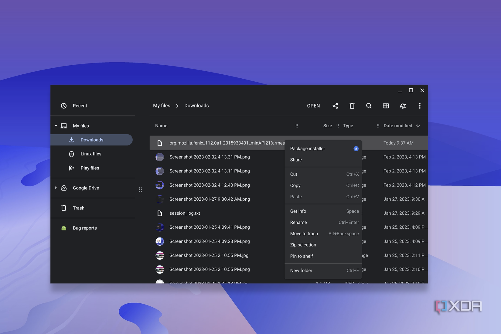A screenshot of the ChomeOS package installer as seen in the Files app