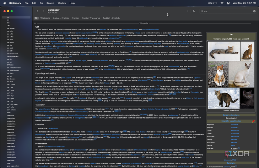 Complete guide to the Dictionary app on macOS