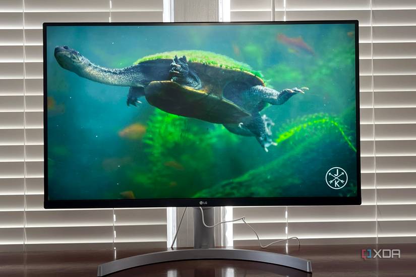 LG UltraFine 32UN650W showing a seaturtle