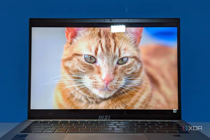 MSI Prestige 14 Evo showing a cat on the screen