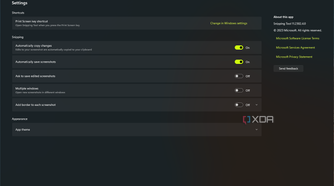 Screenshot of the Snipping Tool settings on Windows 11