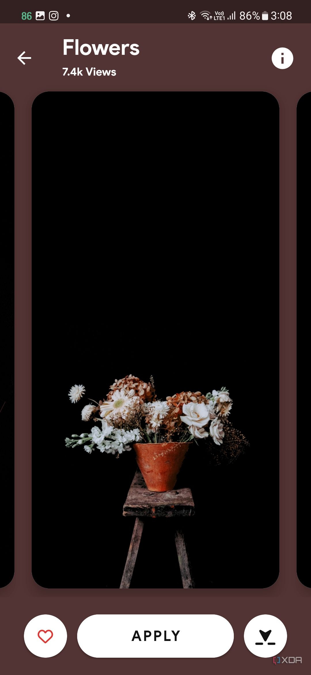 A screenshot showing a wallpaper with flower pot kept on a wooden chair over a black ground.