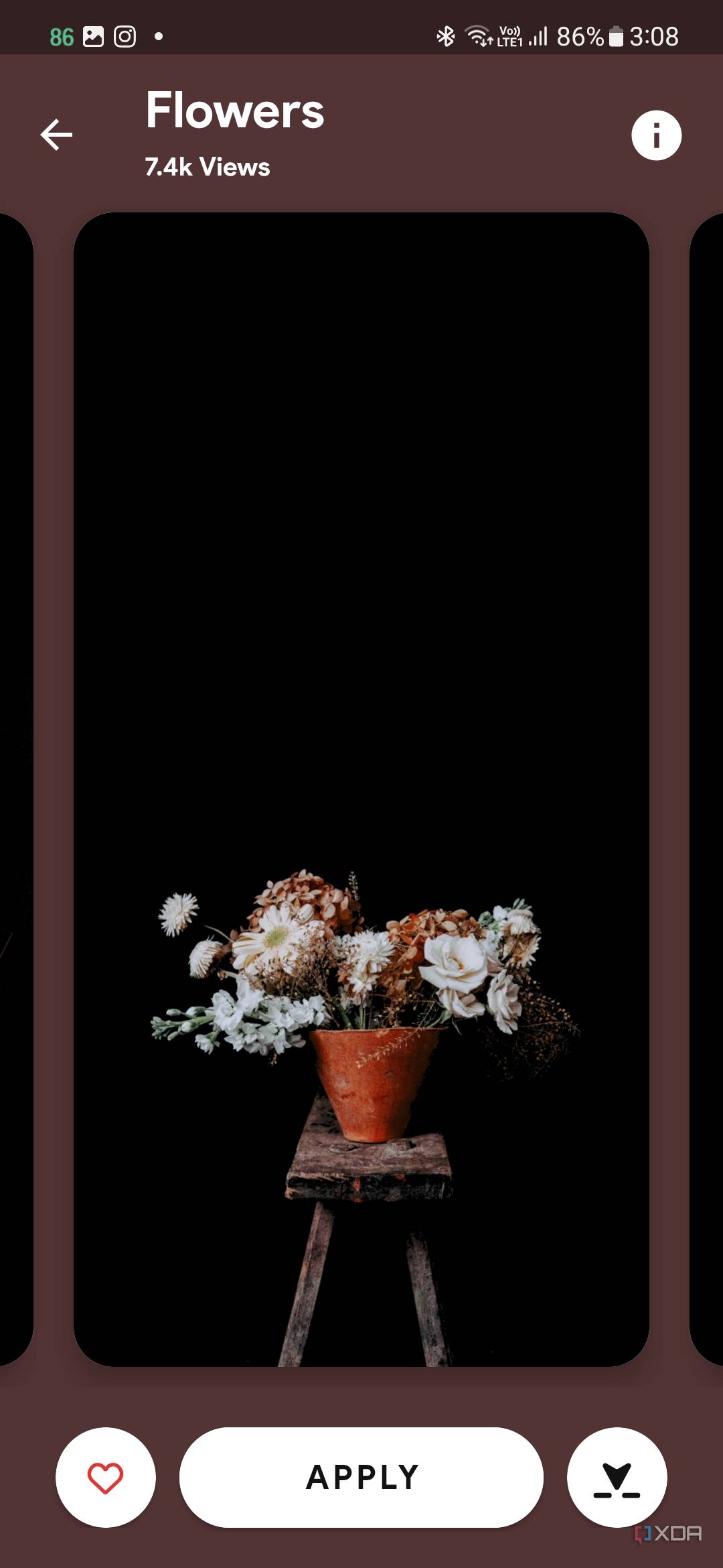 A screenshot showing a wallpaper with flower pot kept on a wooden chair over a black ground.