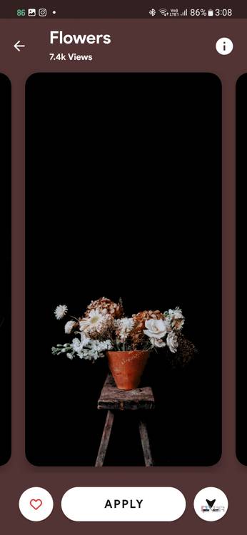 A screenshot showing a wallpaper with flower pot kept on a wooden chair over a black ground.