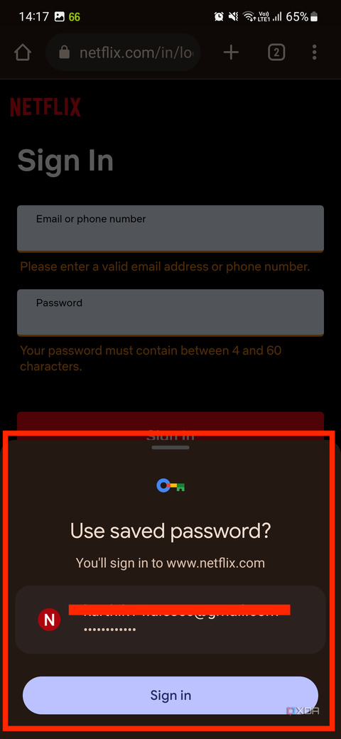 A screenshot showing the password auto-fill prompt on a Chrome browser for Netflix.
