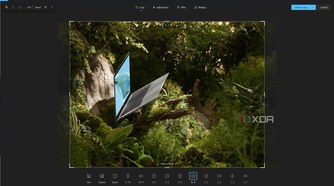 Screenshot of crop editing controls in the Windows 11 Photos app